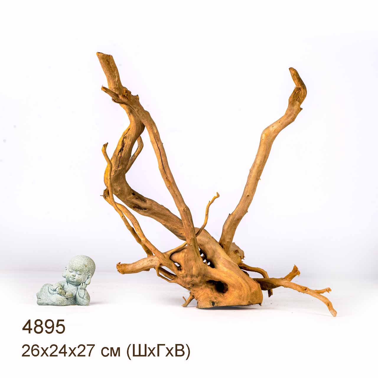 Коряга MASHA BLOOM Корень азалии S - 4895