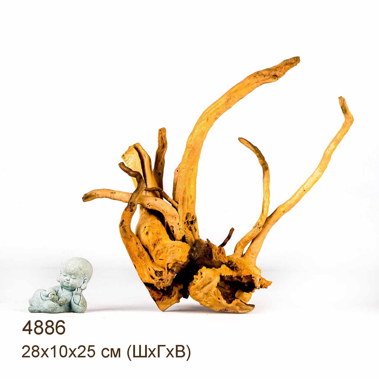 Коряга MASHA BLOOM Корень азалии S - 4886