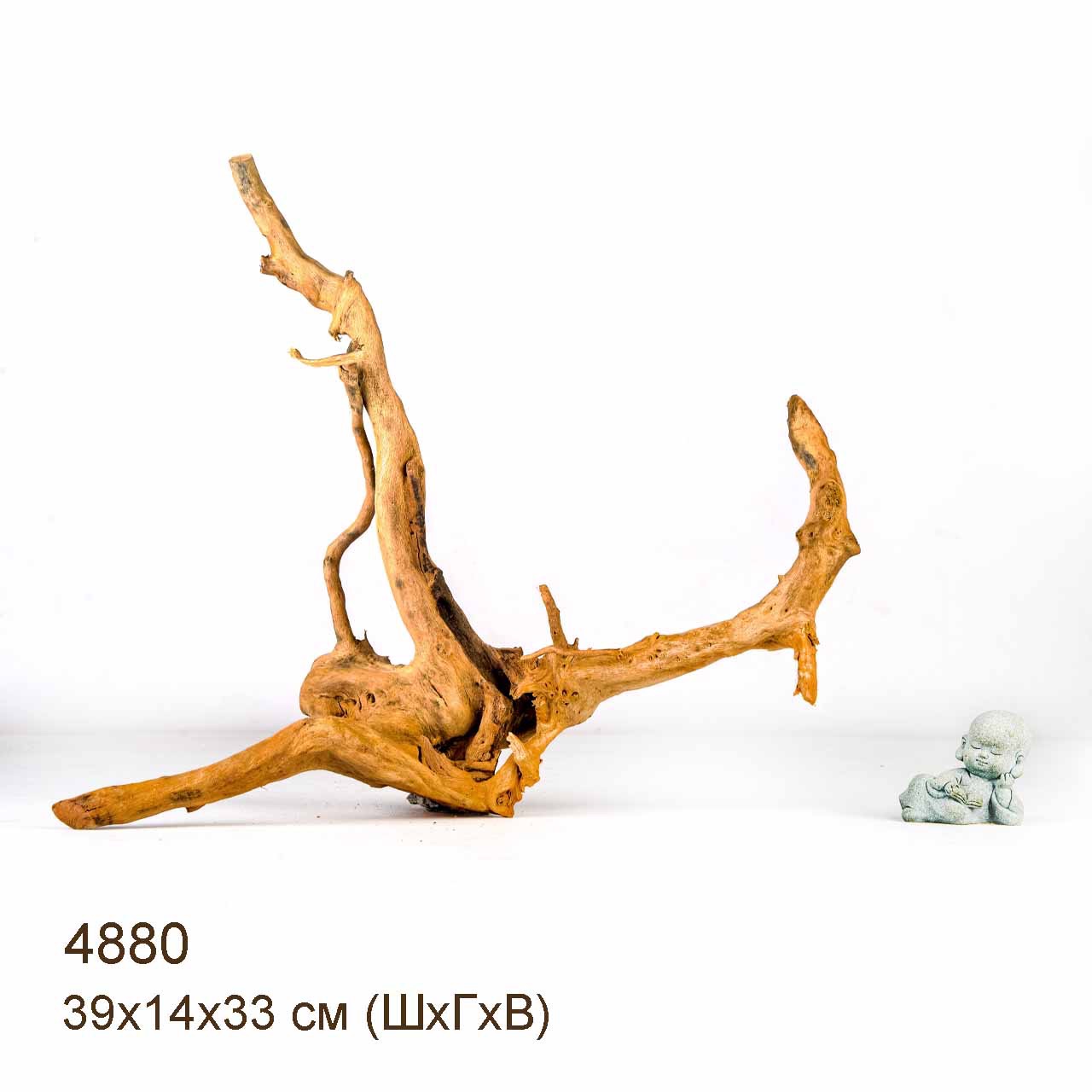 Коряга MASHA BLOOM Корень азалии S - 4880