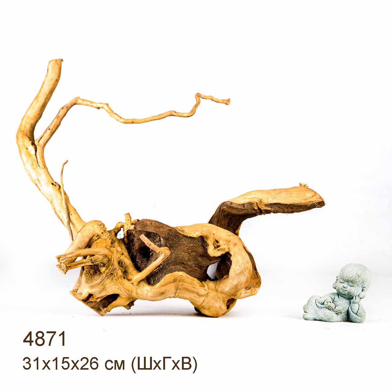 Коряга MASHA BLOOM Корень азалии S - 4871