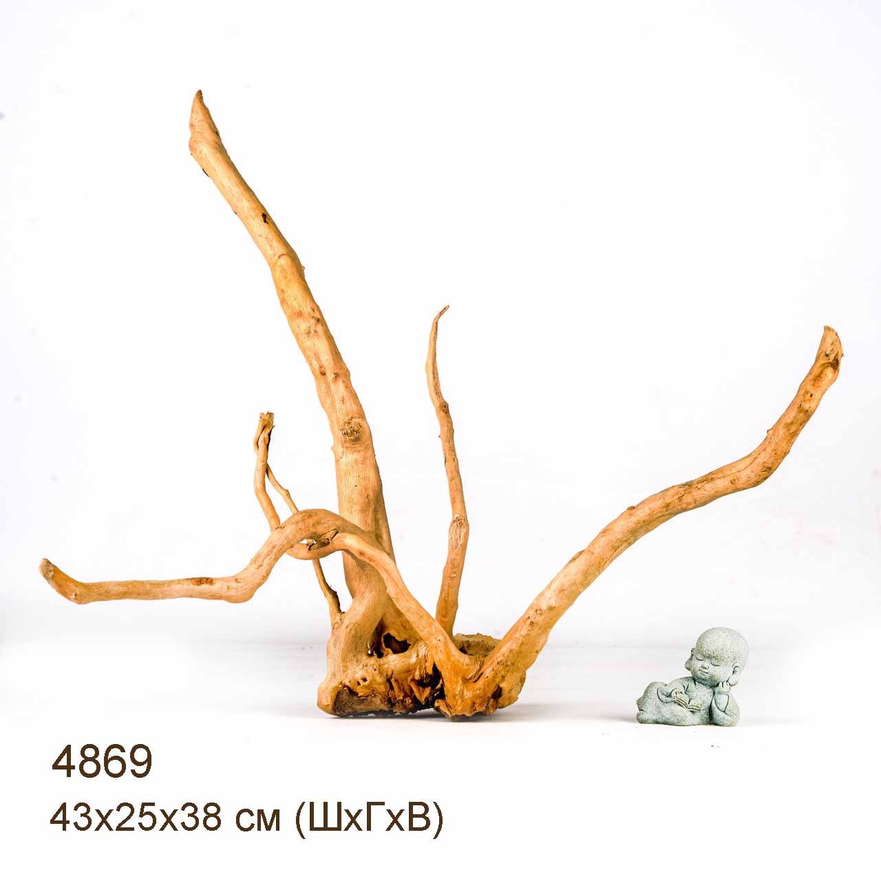 Коряга MASHA BLOOM Корень азалии S - 4869