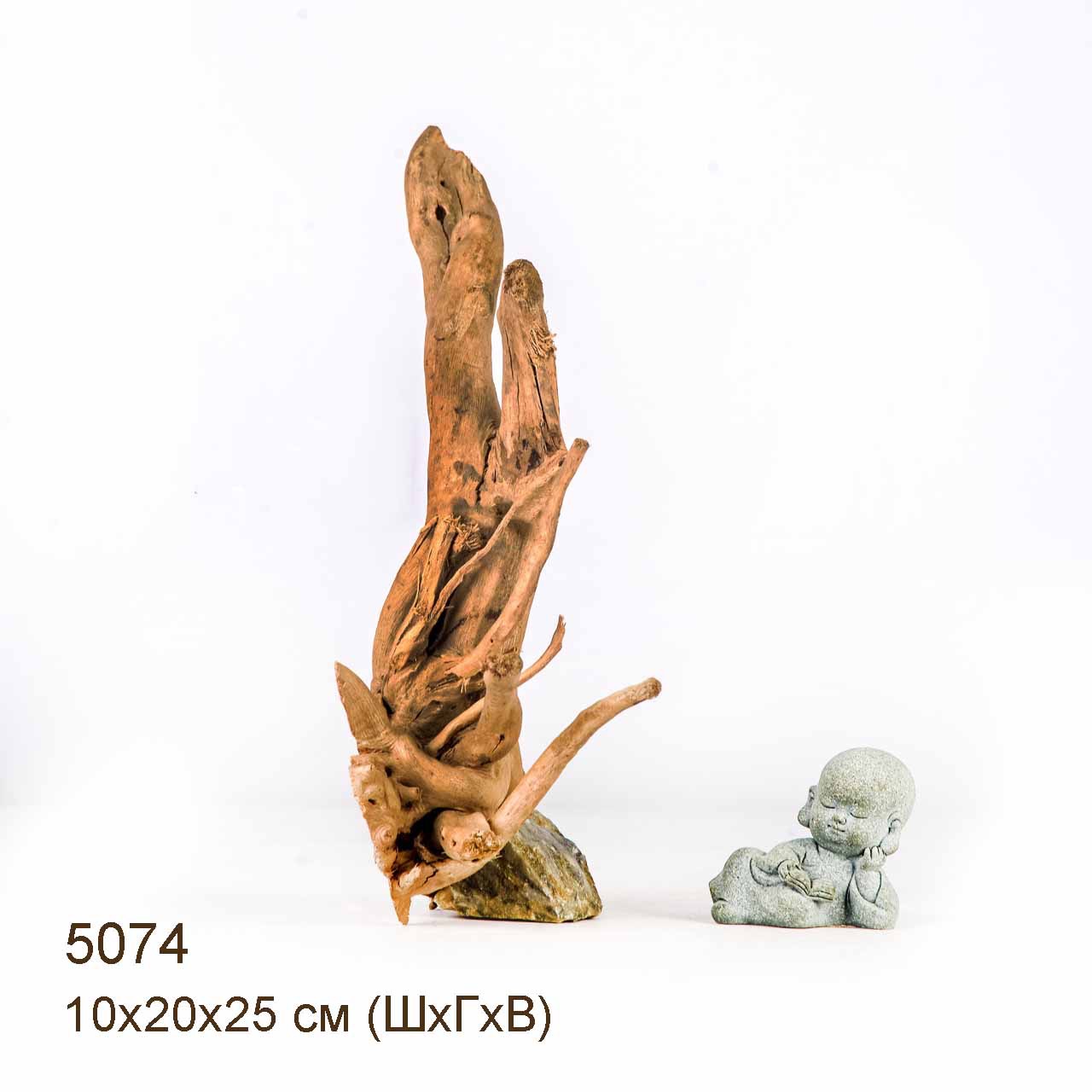 Коряга MASHA BLOOM Корень азалии S - 5074