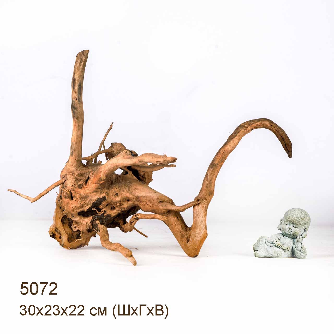 Коряга MASHA BLOOM Корень азалии S - 5072