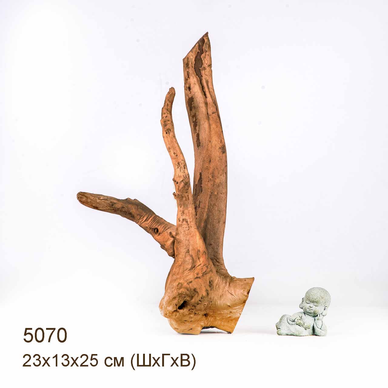 Коряга MASHA BLOOM Корень азалии S - 5070