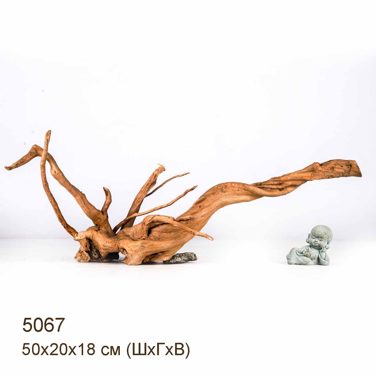 Коряга MASHA BLOOM Корень азалии S - 5067