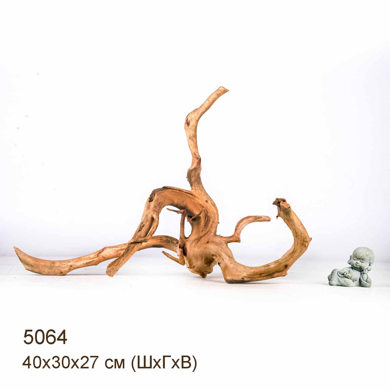 Коряга MASHA BLOOM Корень азалии S - 5064