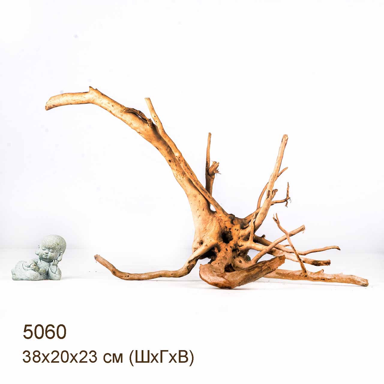 Коряга MASHA BLOOM Корень азалии S - 5060