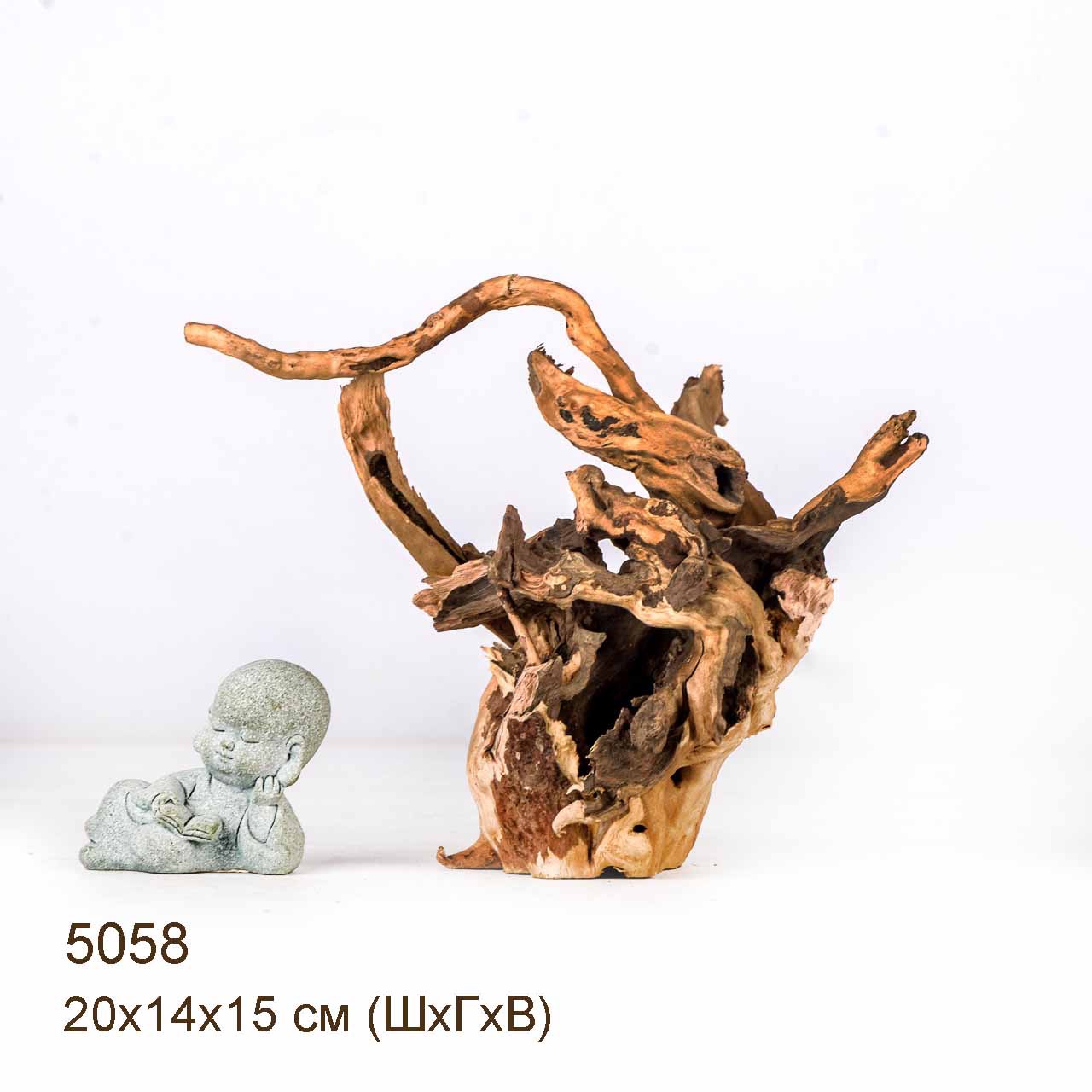 Коряга MASHA BLOOM Корень азалии S - 5058