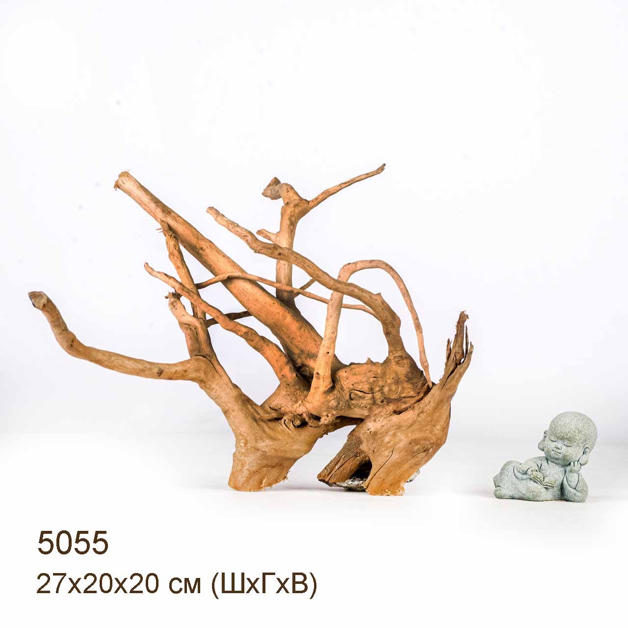 Коряга MASHA BLOOM Корень азалии S - 5055