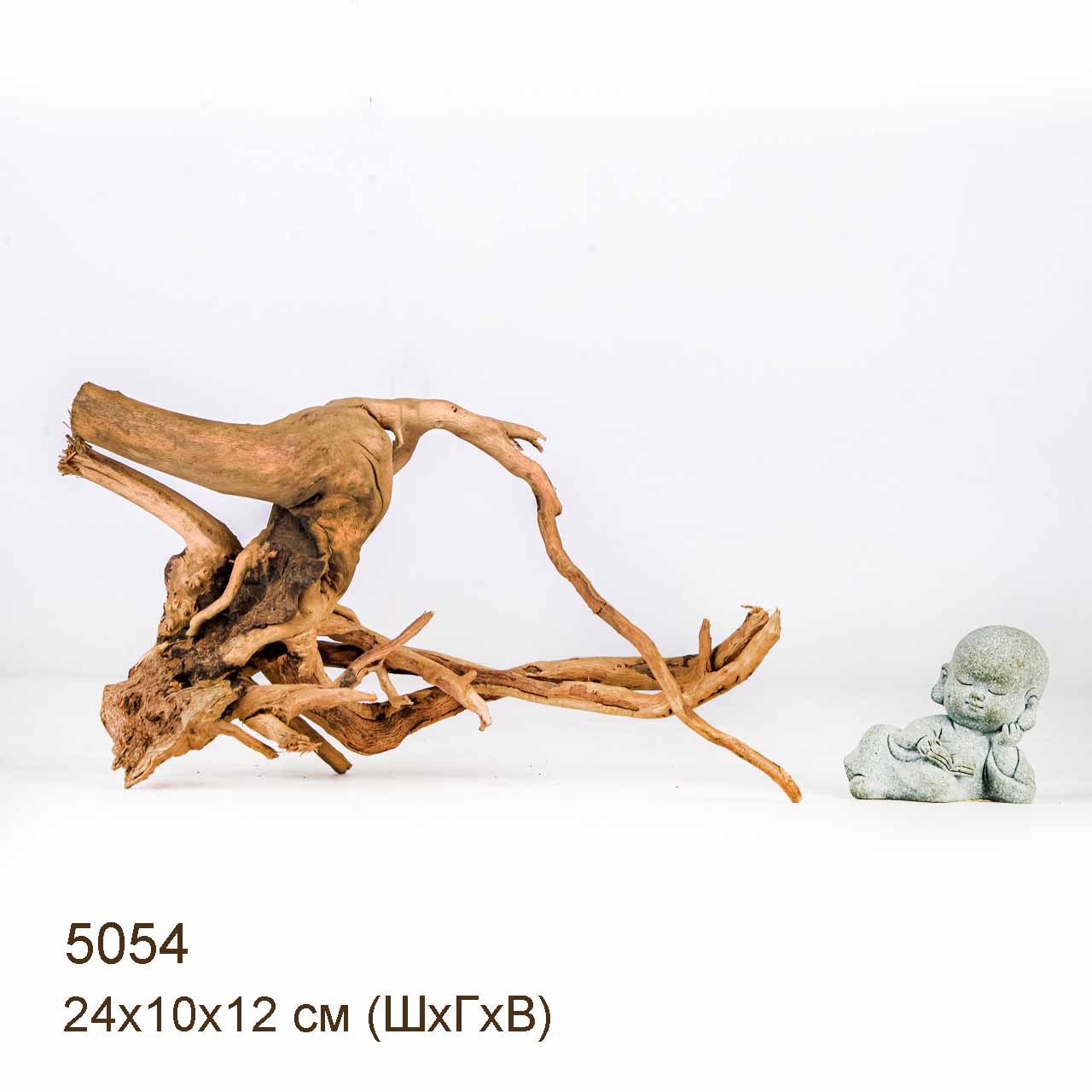 Коряга MASHA BLOOM Корень азалии S - 5054