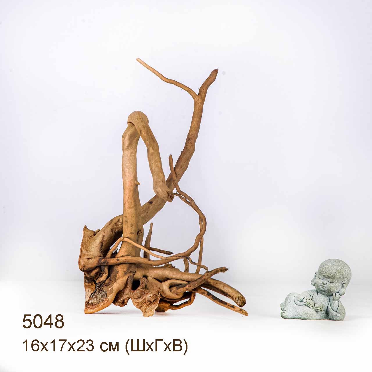 Коряга MASHA BLOOM Корень азалии S - 5048