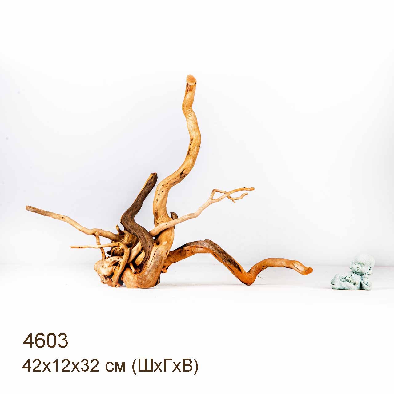 Коряга MASHA BLOOM Корень азалии M - 4603