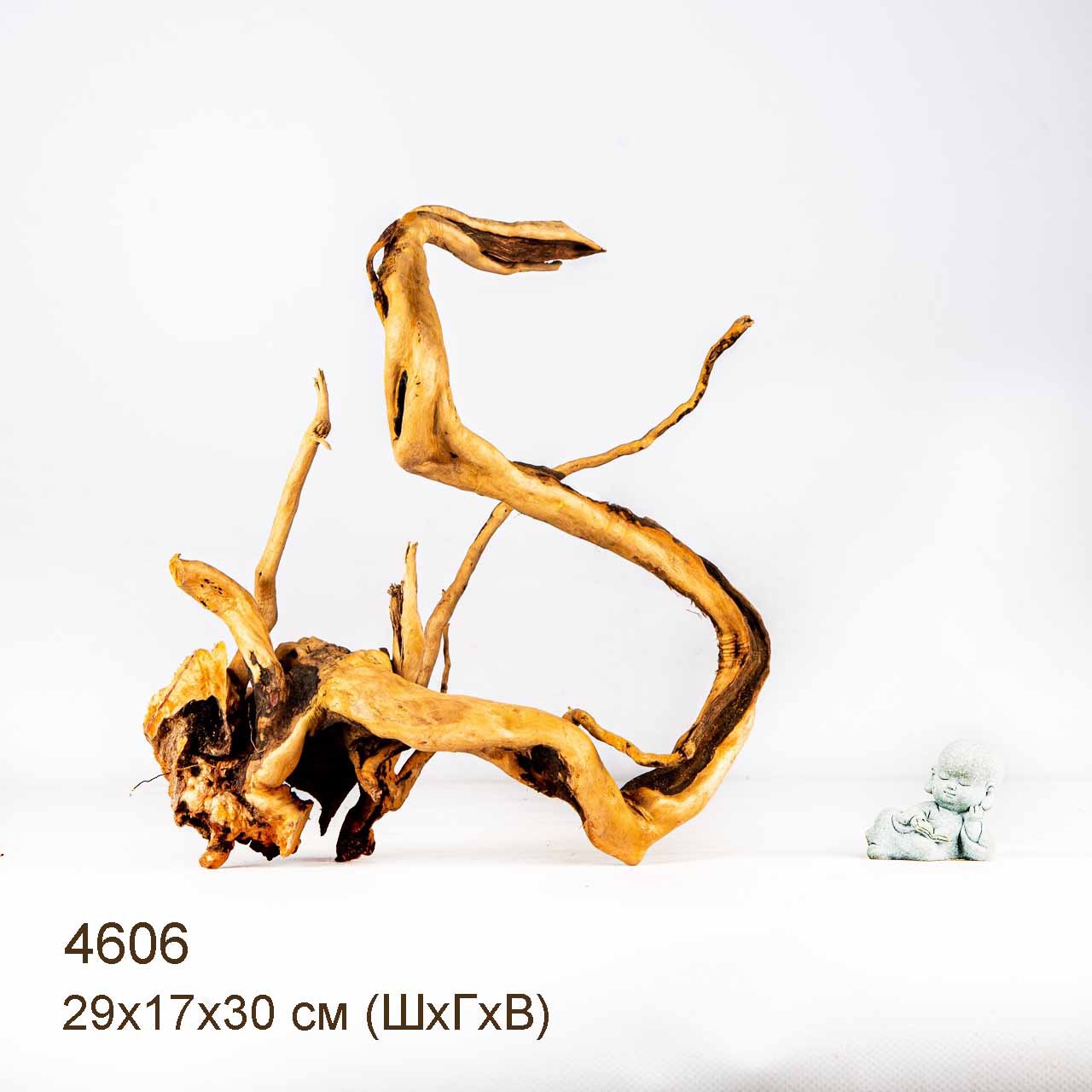 Коряга MASHA BLOOM Корень азалии M - 4606