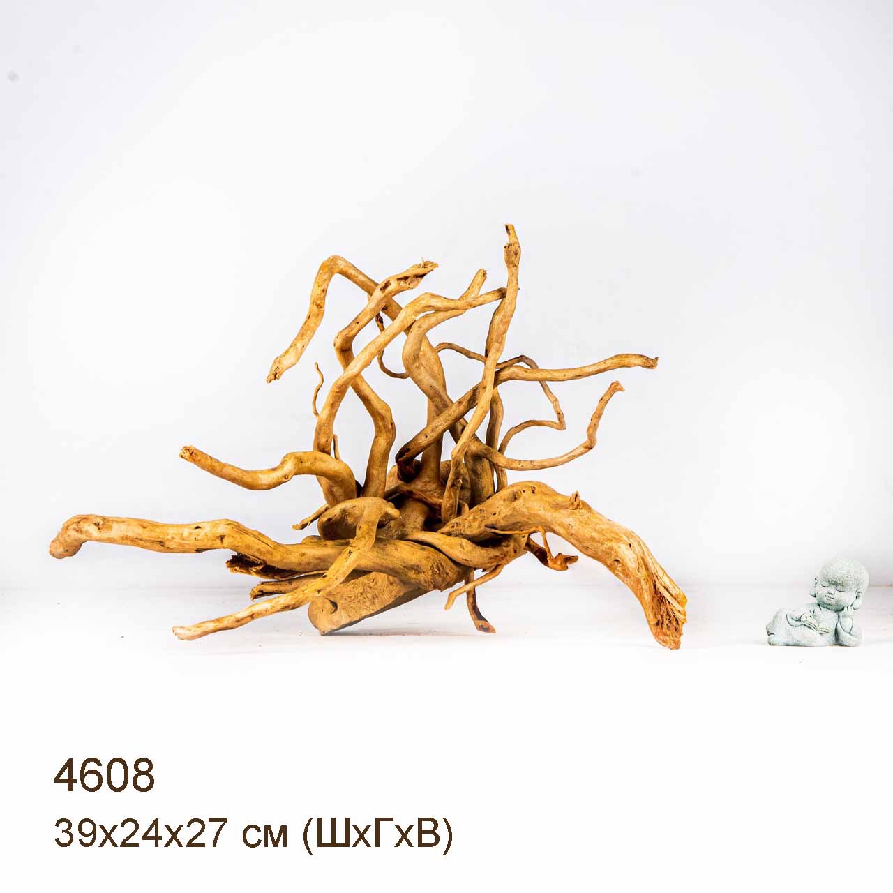 Коряга MASHA BLOOM Корень азалии M - 4608