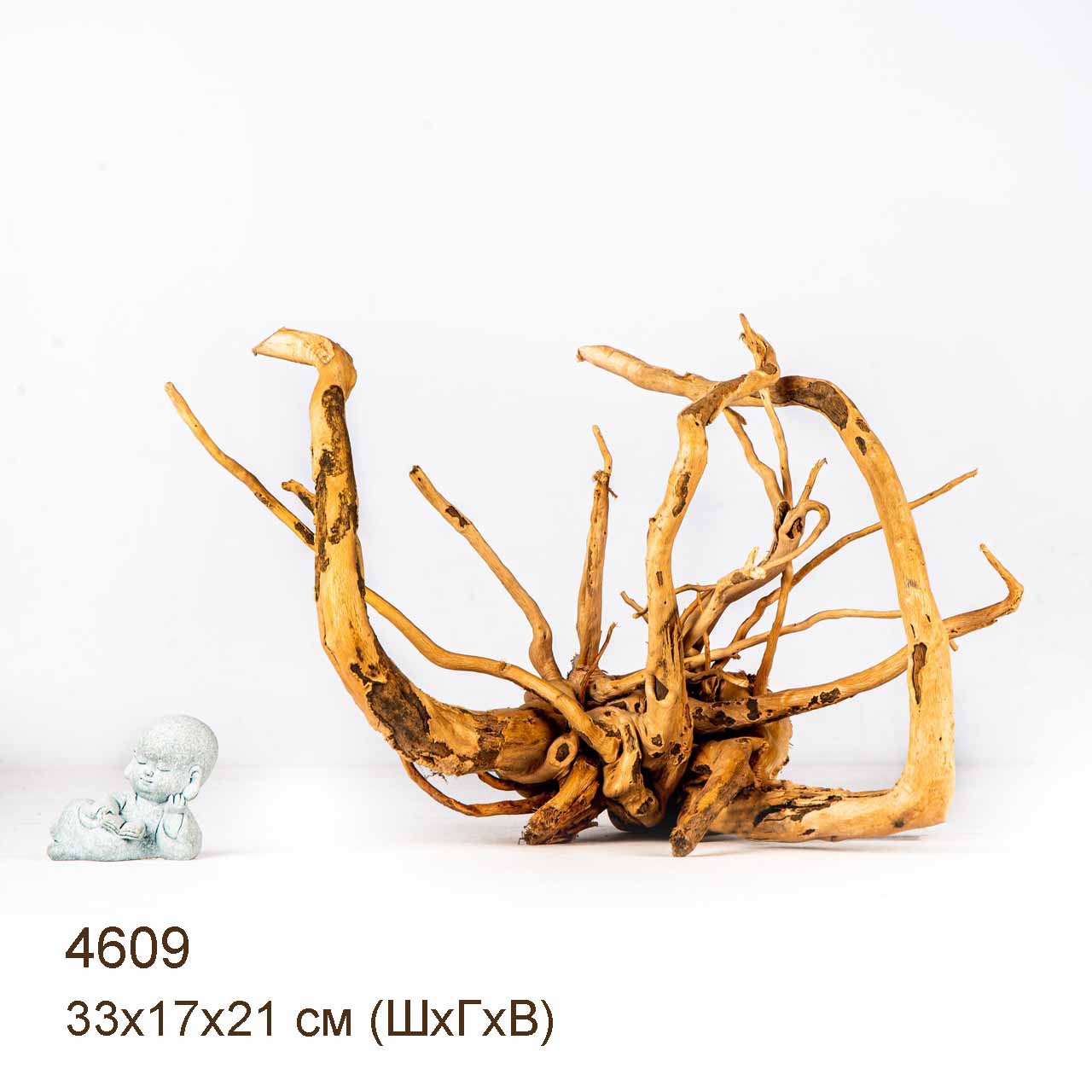 Коряга MASHA BLOOM Корень азалии M - 4609