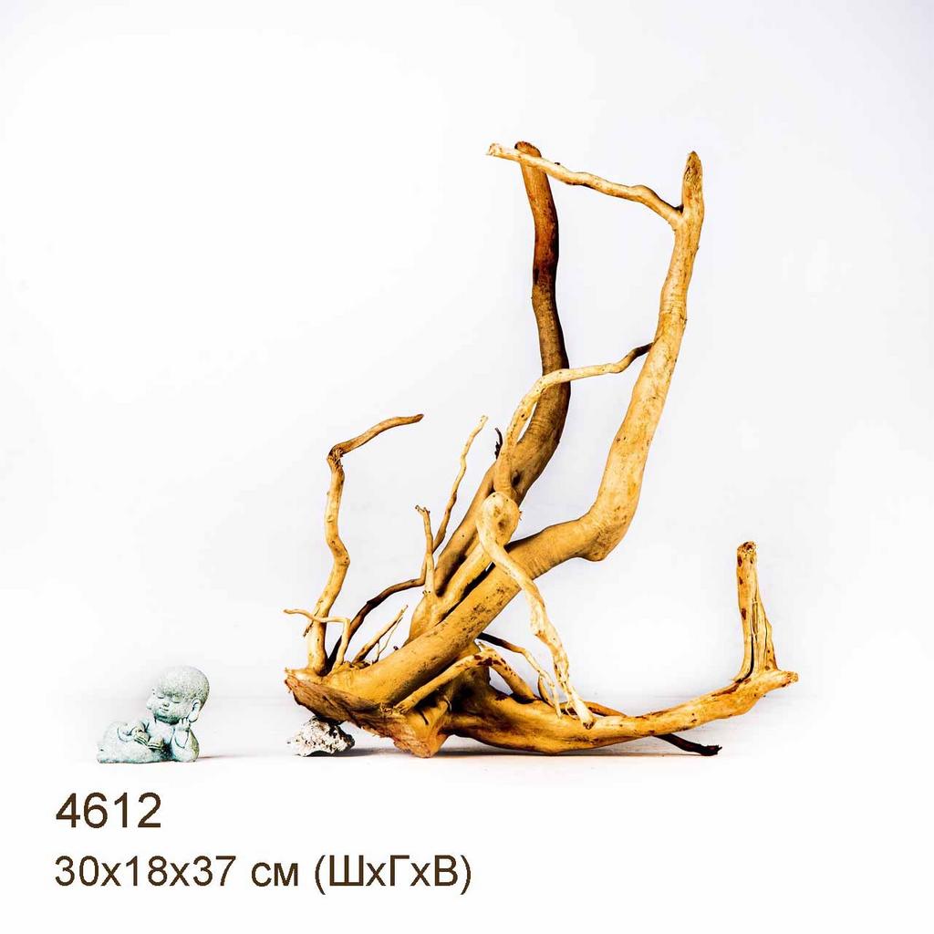 Коряга MASHA BLOOM Корень азалии M - 4612