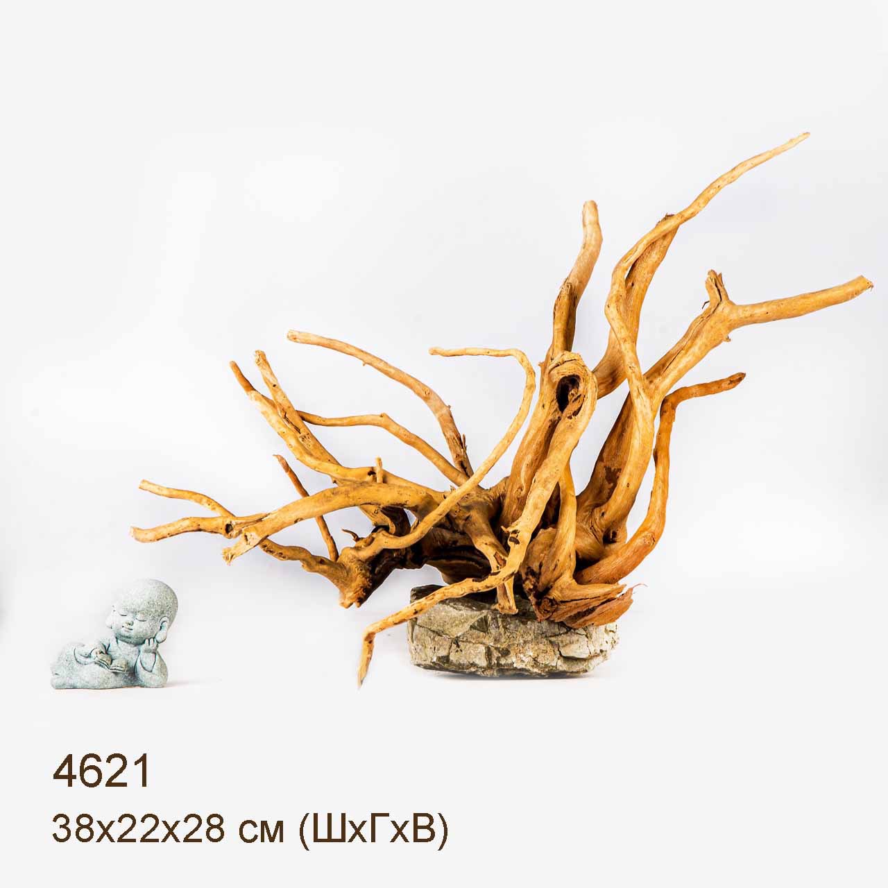 Коряга MASHA BLOOM Корень азалии M - 4621