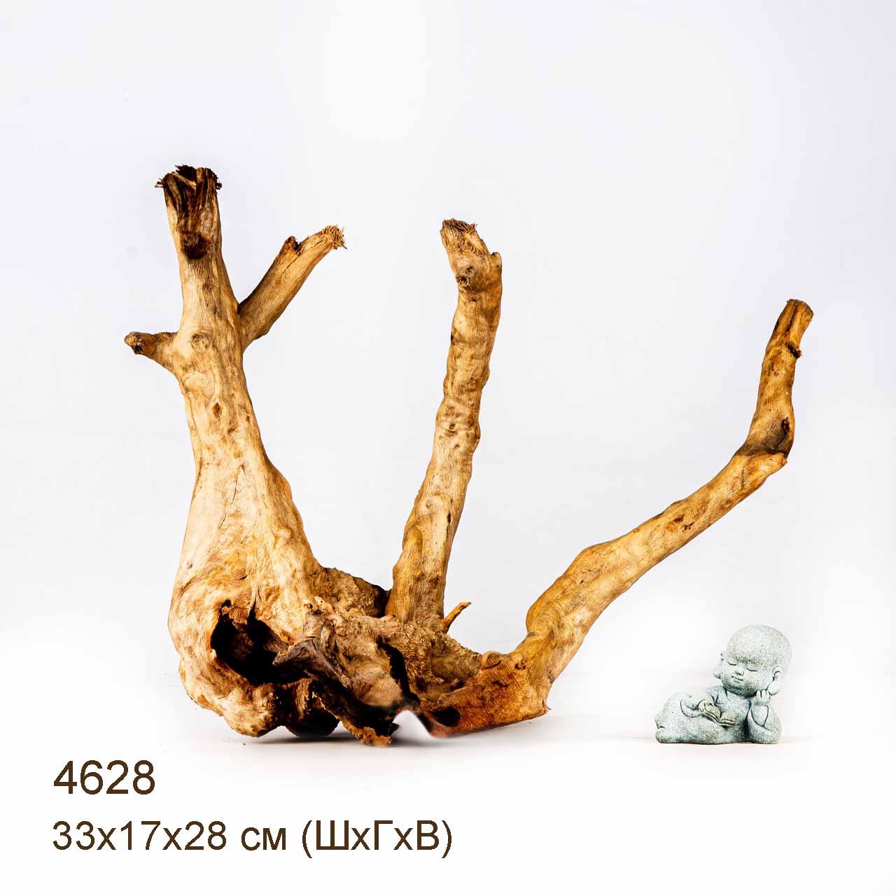 Коряга MASHA BLOOM Корень азалии M - 4628