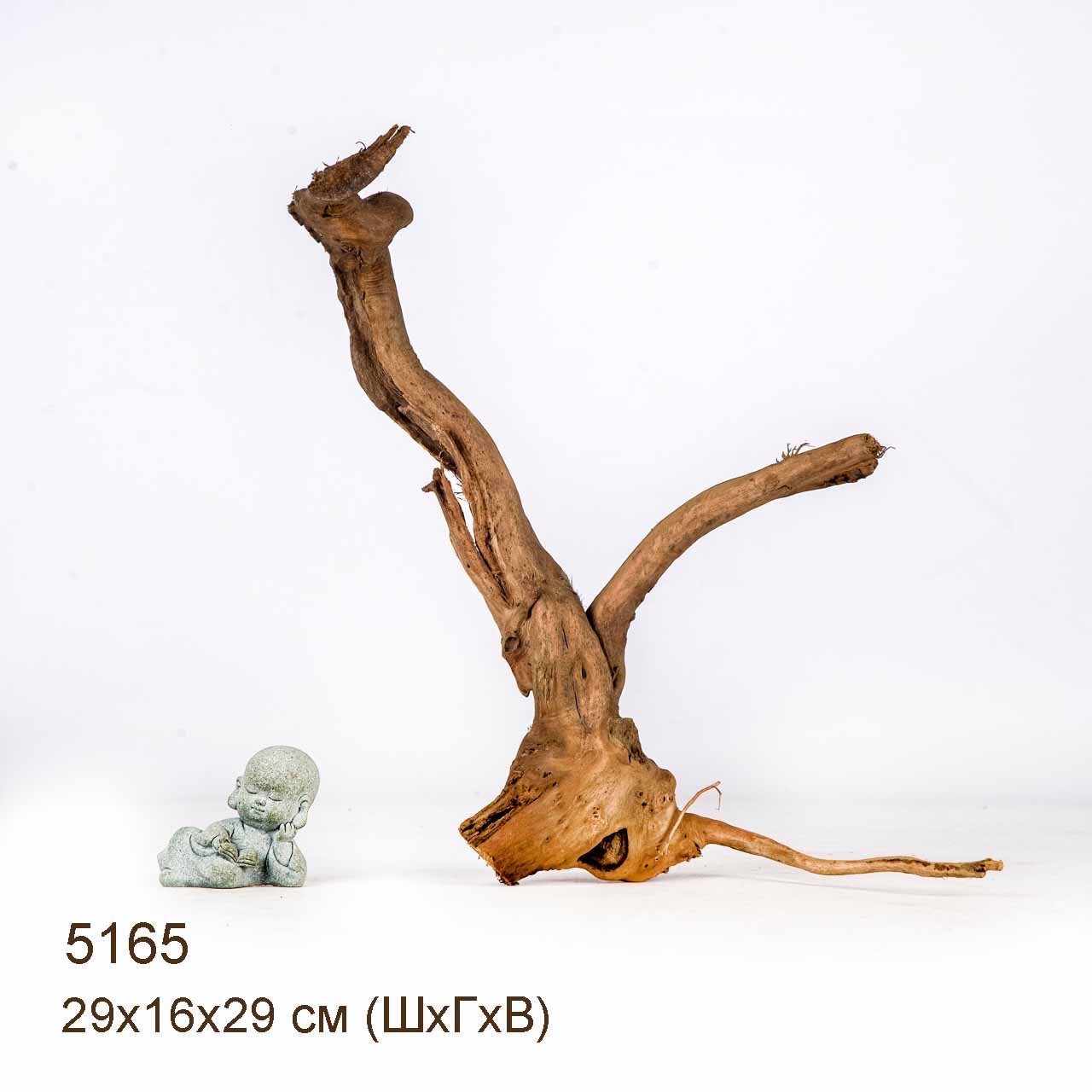 Коряга MASHA BLOOM Корень азалии XS - 5165