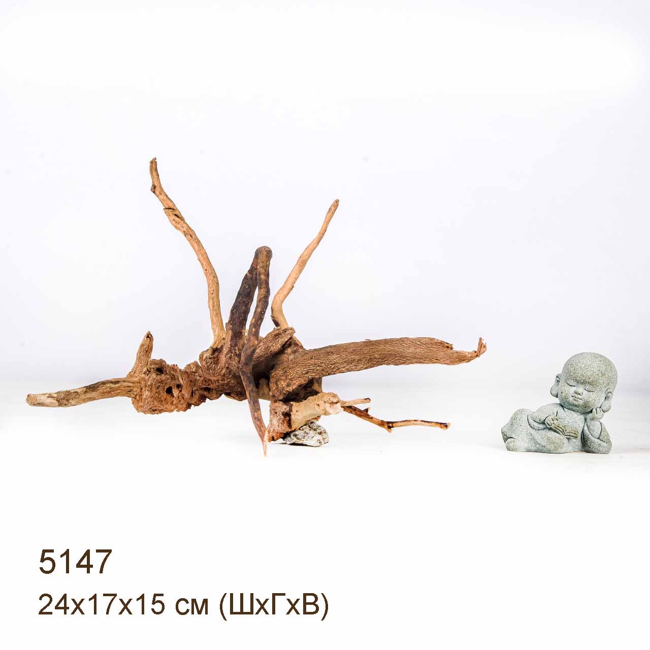 Коряга MASHA BLOOM Корень азалии XS - 5147