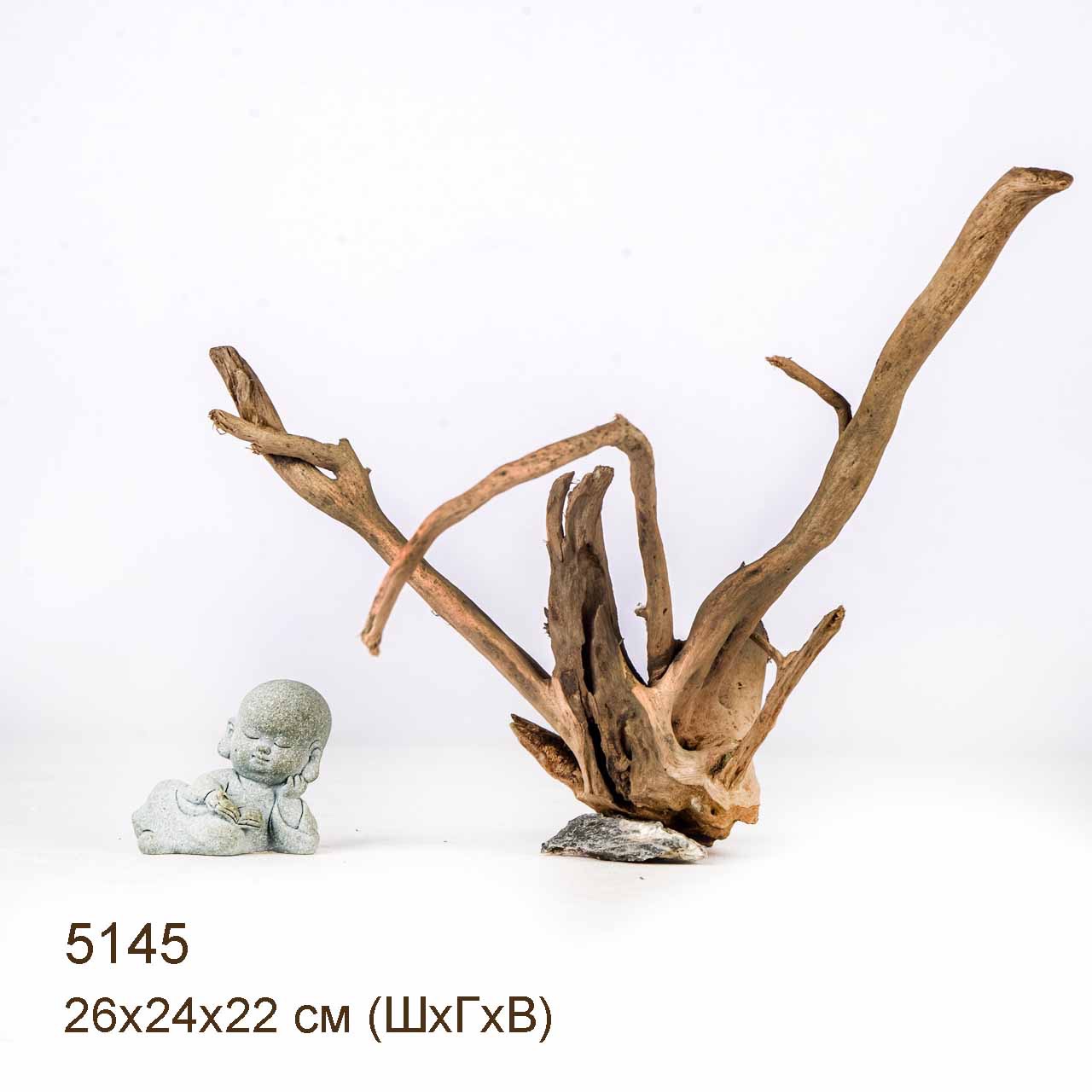 Коряга MASHA BLOOM Корень азалии XS - 5145