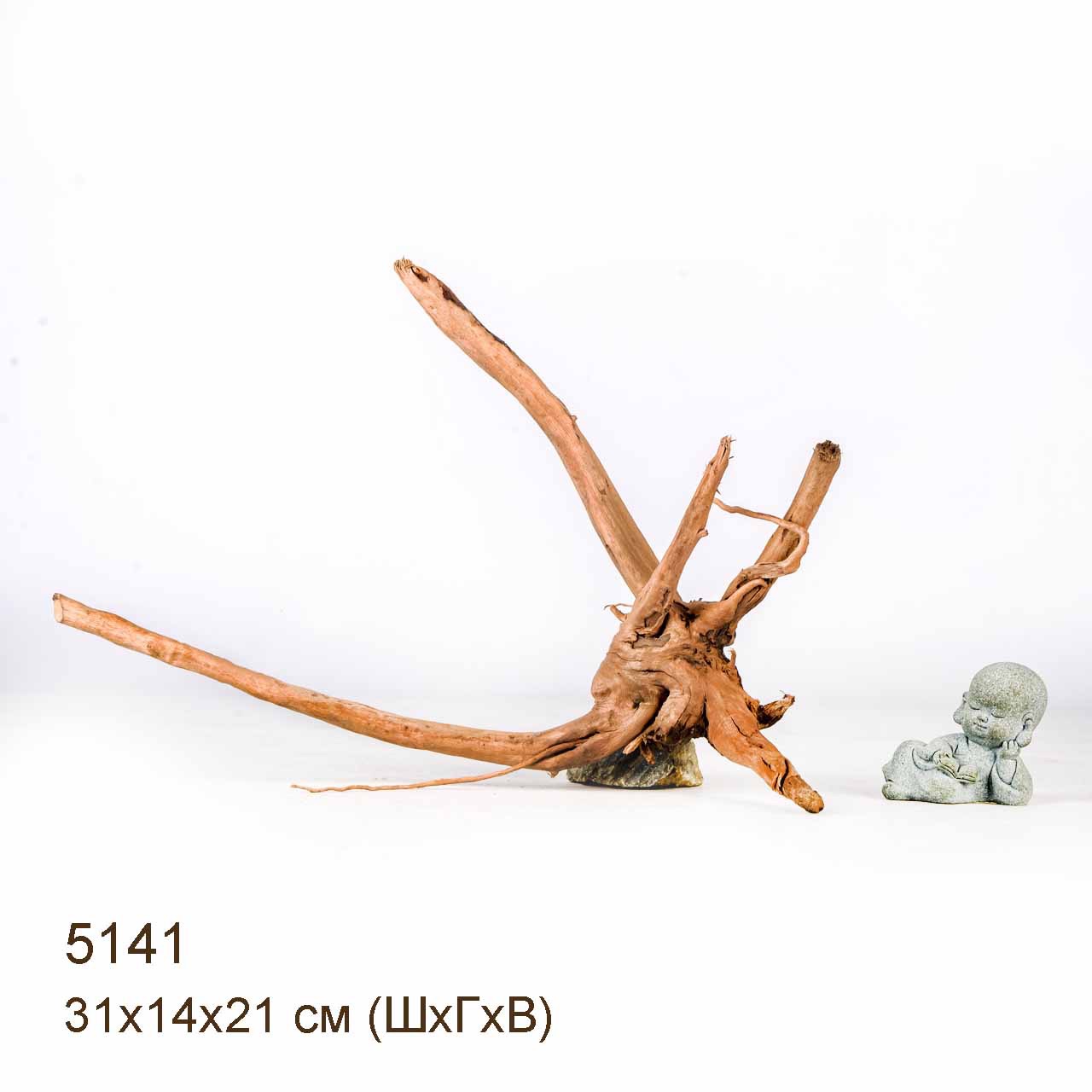 Коряга MASHA BLOOM Корень азалии XS - 5141