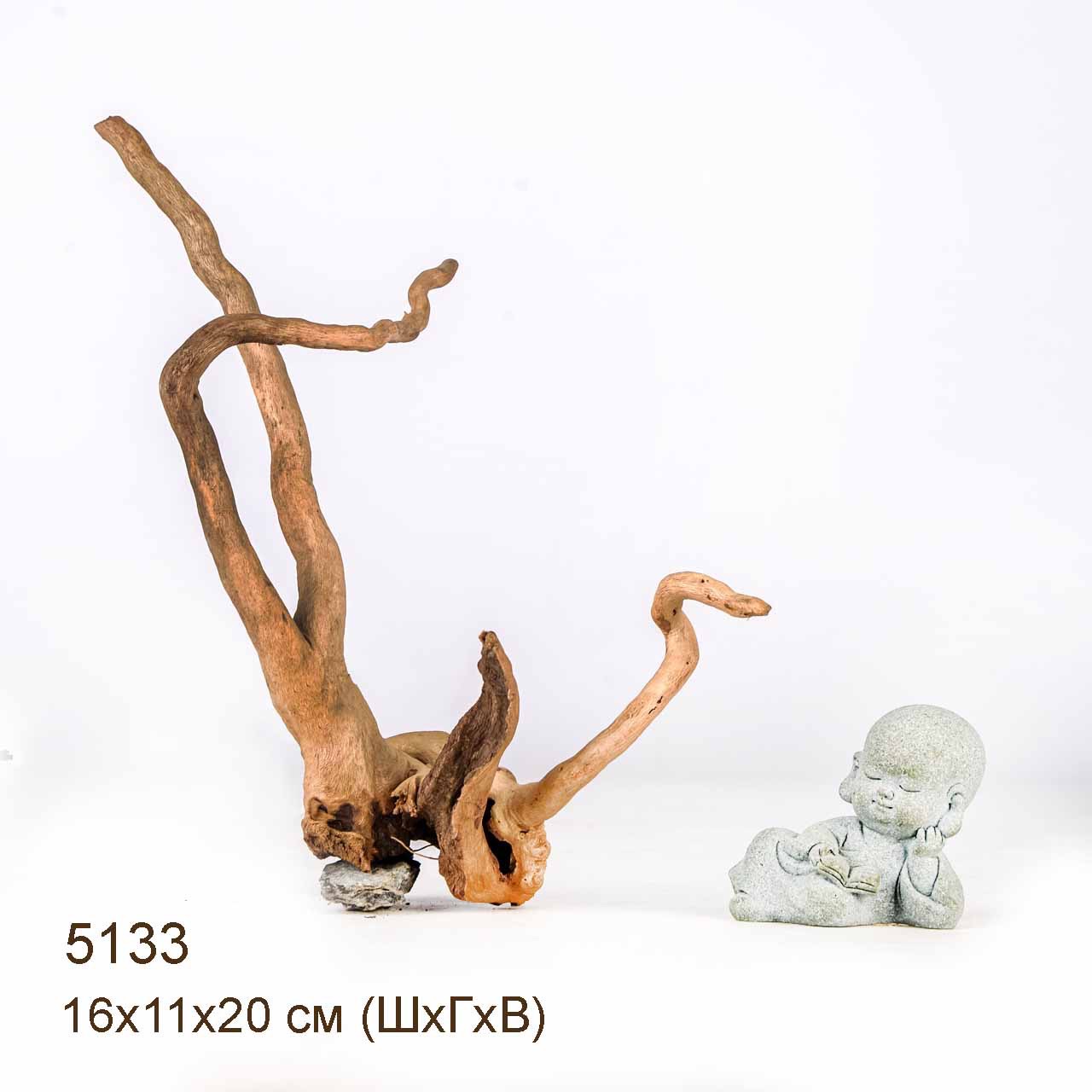 Коряга MASHA BLOOM Корень азалии XS - 5133