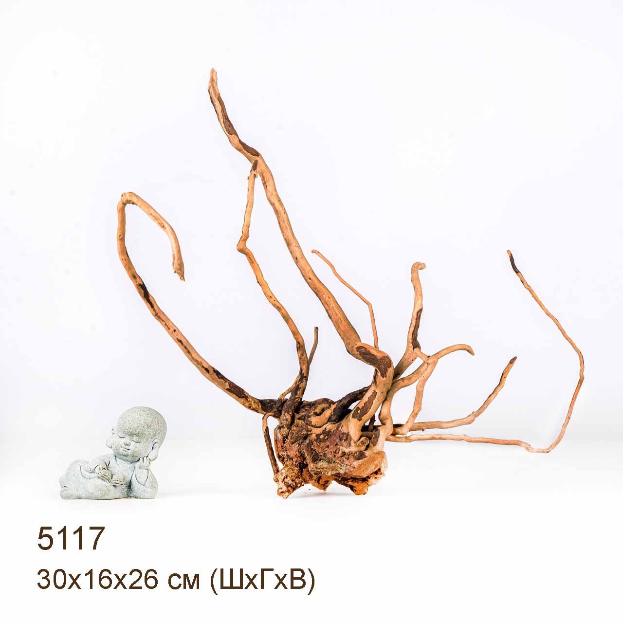 Коряга MASHA BLOOM Корень азалии XS - 5117