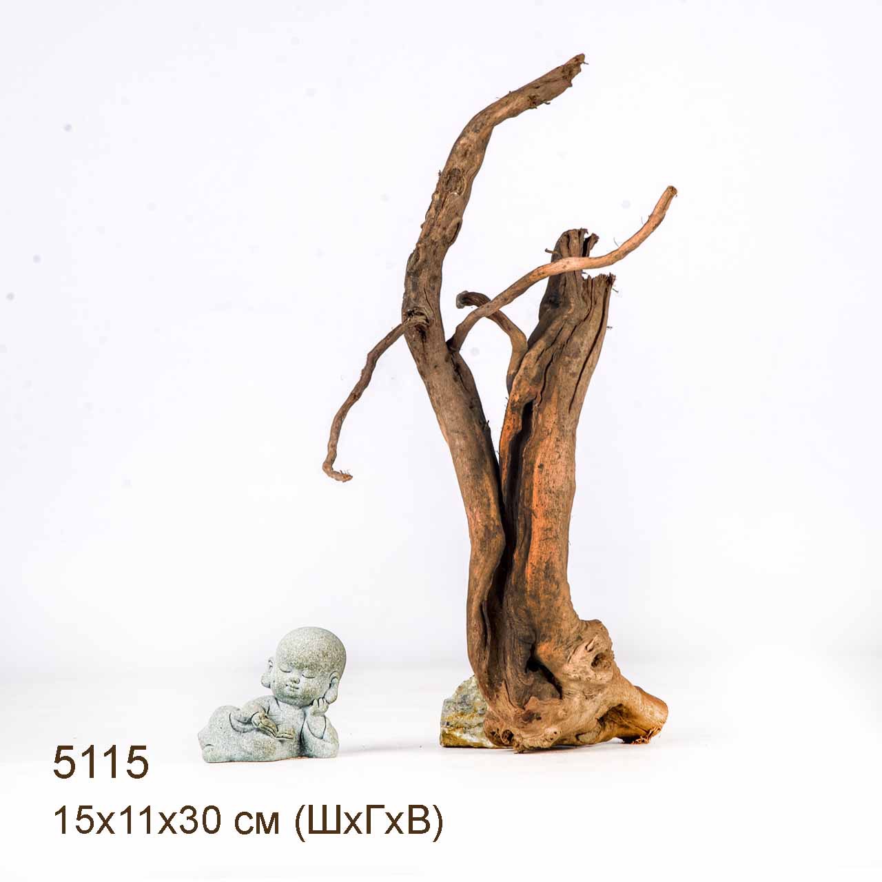 Коряга MASHA BLOOM Корень азалии XS - 5115