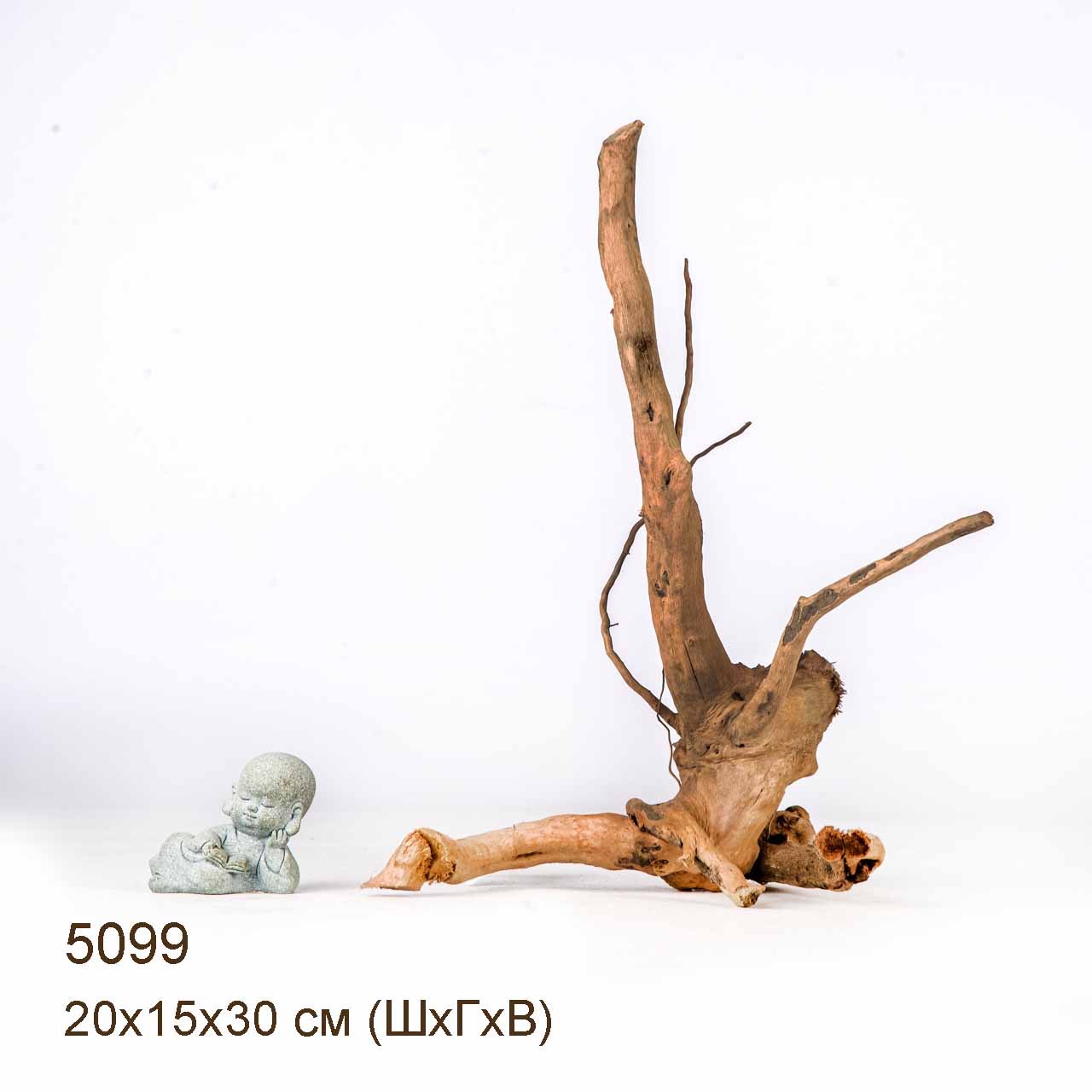 Коряга MASHA BLOOM Корень азалии XS - 5099