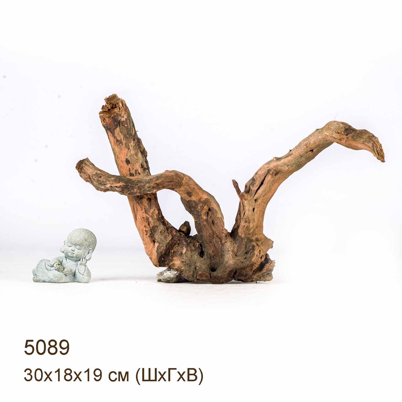 Коряга MASHA BLOOM Корень азалии XS - 5089