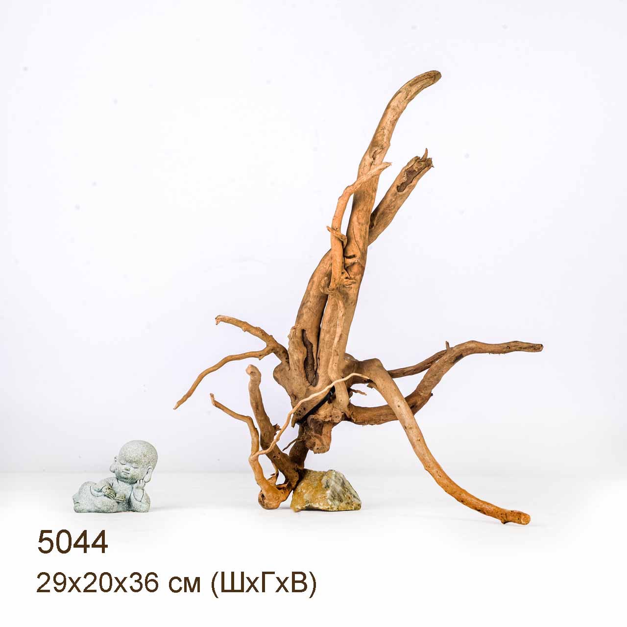 Коряга MASHA BLOOM Корень азалии S - 5044