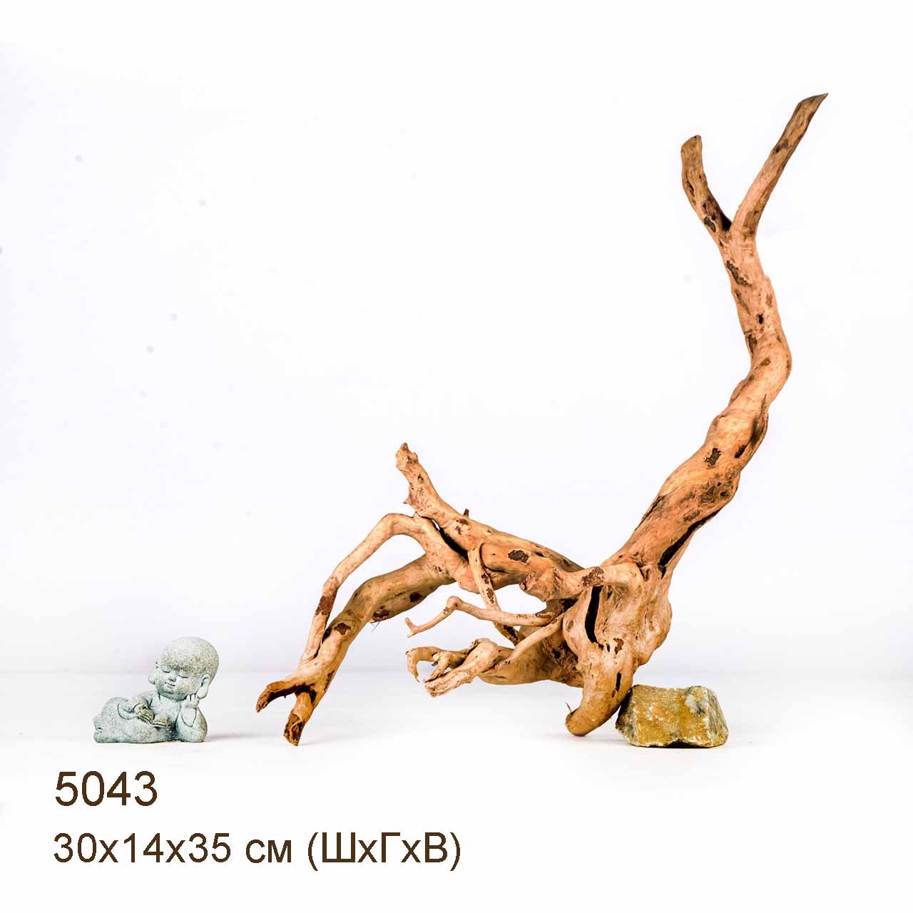 Коряга MASHA BLOOM Корень азалии S - 5043