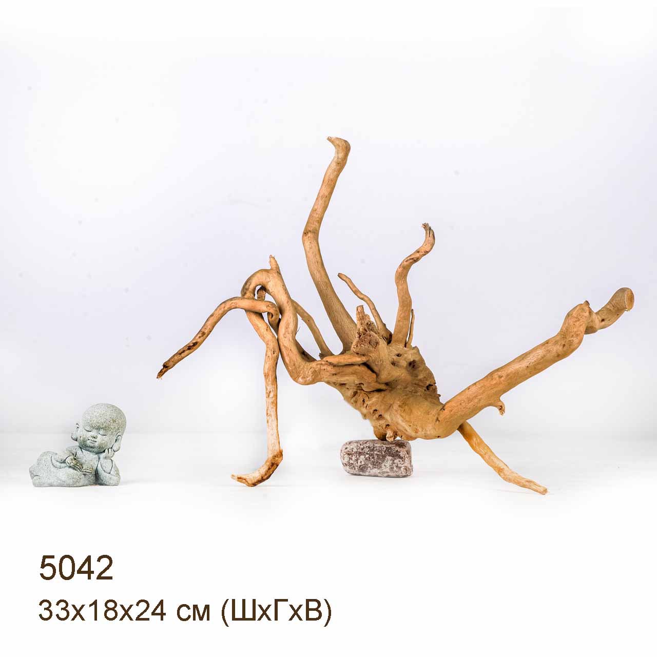 Коряга MASHA BLOOM Корень азалии S - 5042