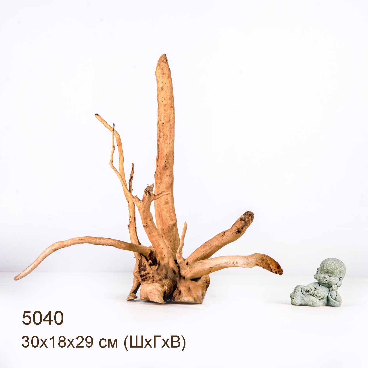 Коряга MASHA BLOOM Корень азалии S - 5040