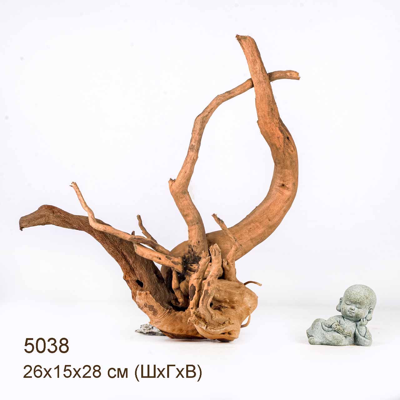 Коряга MASHA BLOOM Корень азалии S - 5038