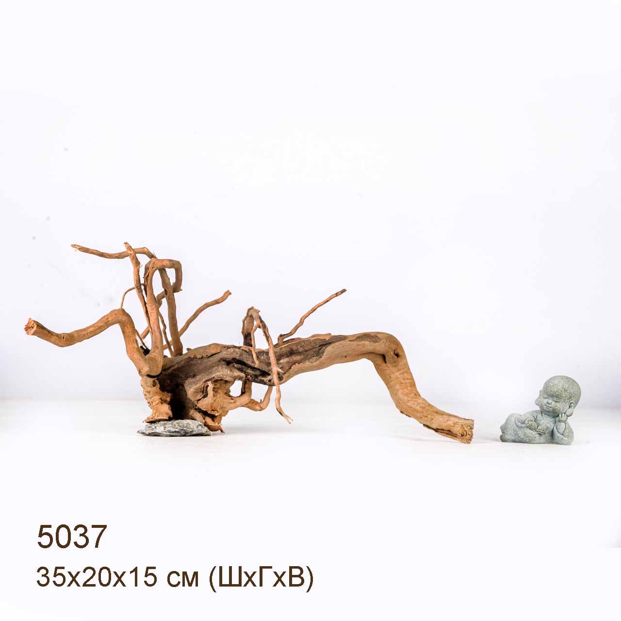 Коряга MASHA BLOOM Корень азалии S - 5037