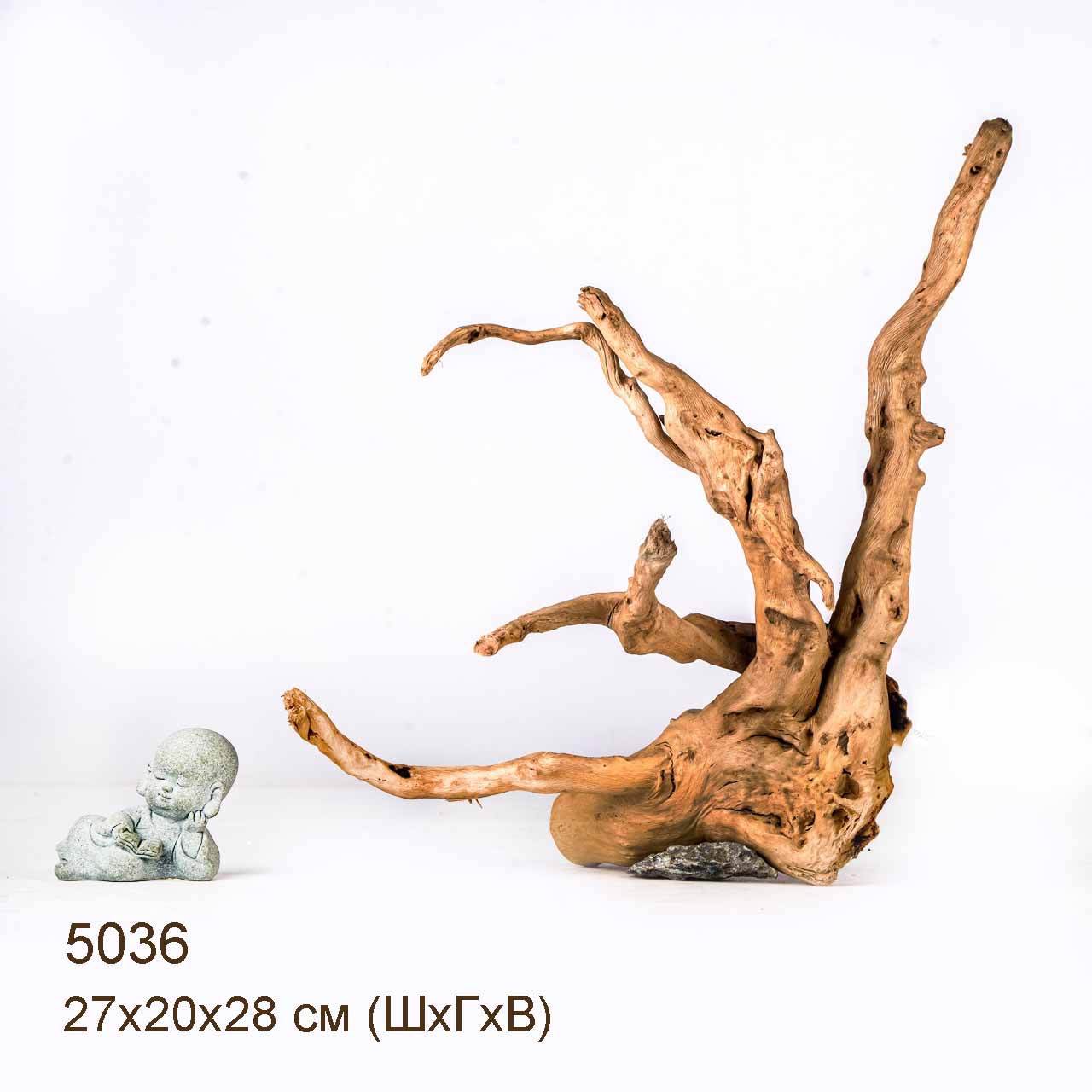 Коряга MASHA BLOOM Корень азалии S - 5036