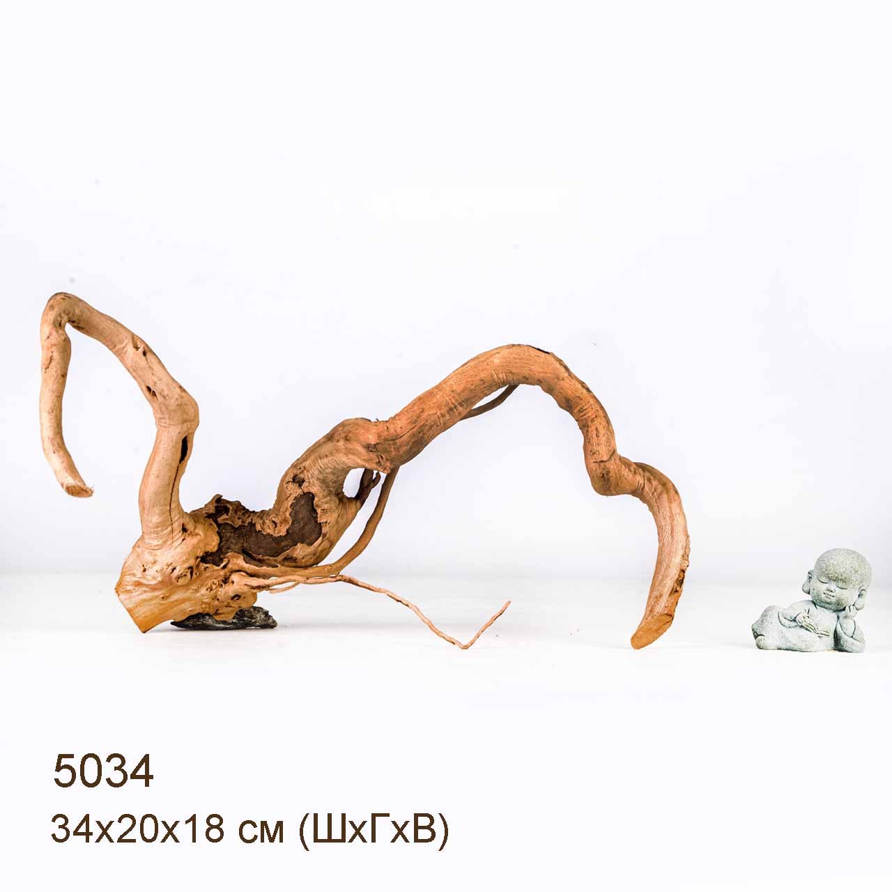 Коряга MASHA BLOOM Корень азалии S - 5034