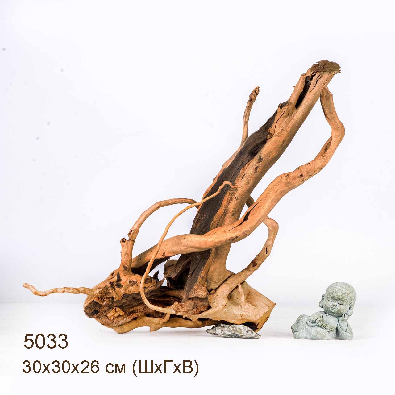 Коряга MASHA BLOOM Корень азалии S - 5033