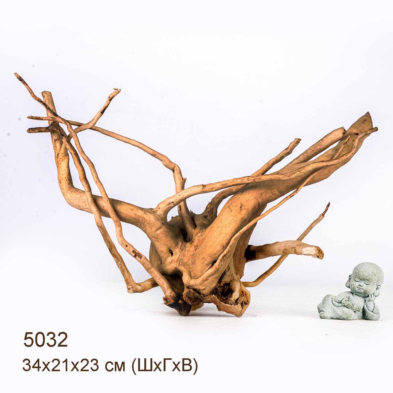 Коряга MASHA BLOOM Корень азалии S - 5032