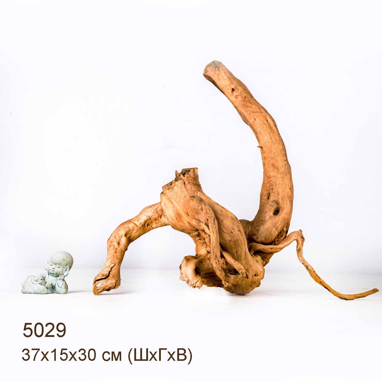 Коряга MASHA BLOOM Корень азалии S - 5029