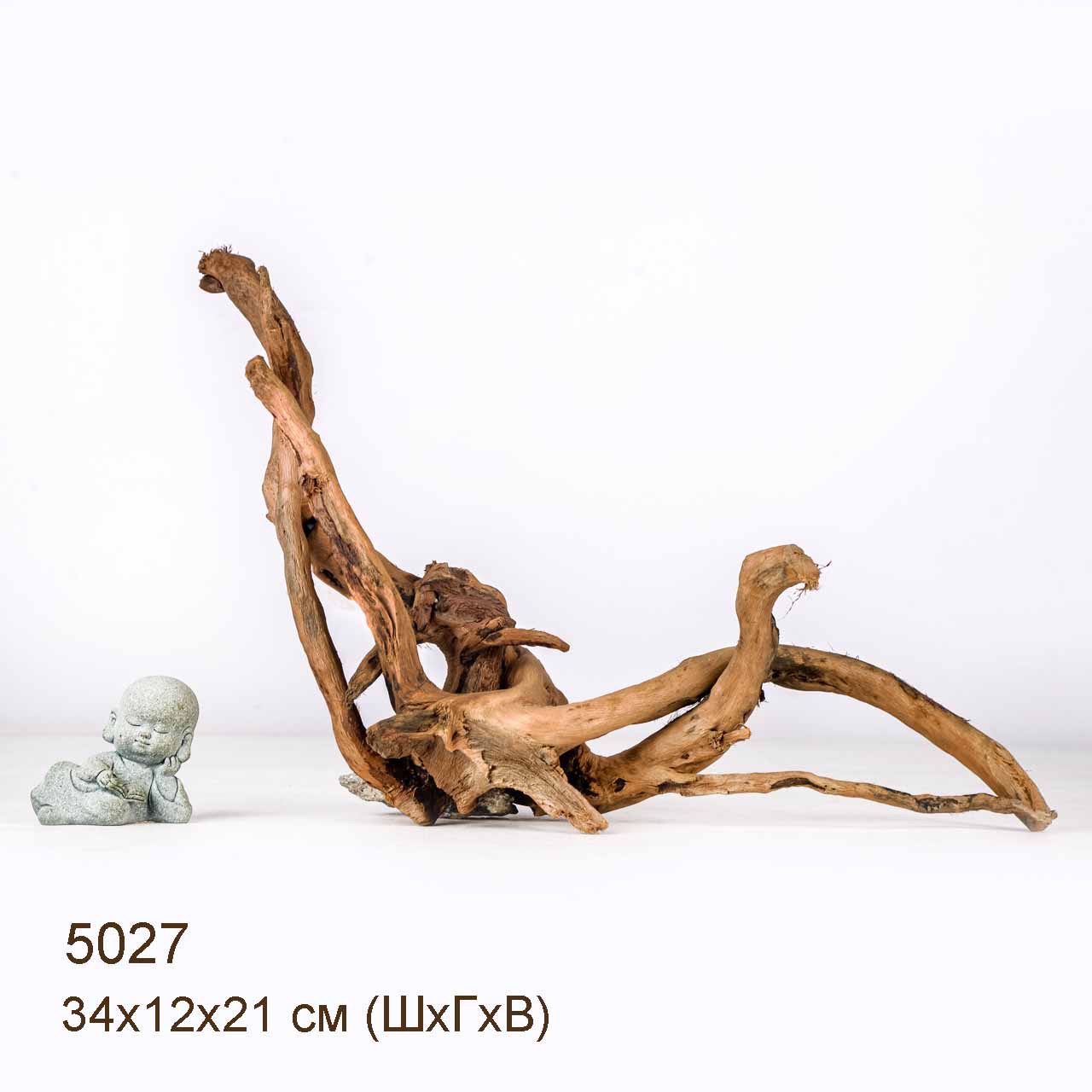 Коряга MASHA BLOOM Корень азалии S - 5027