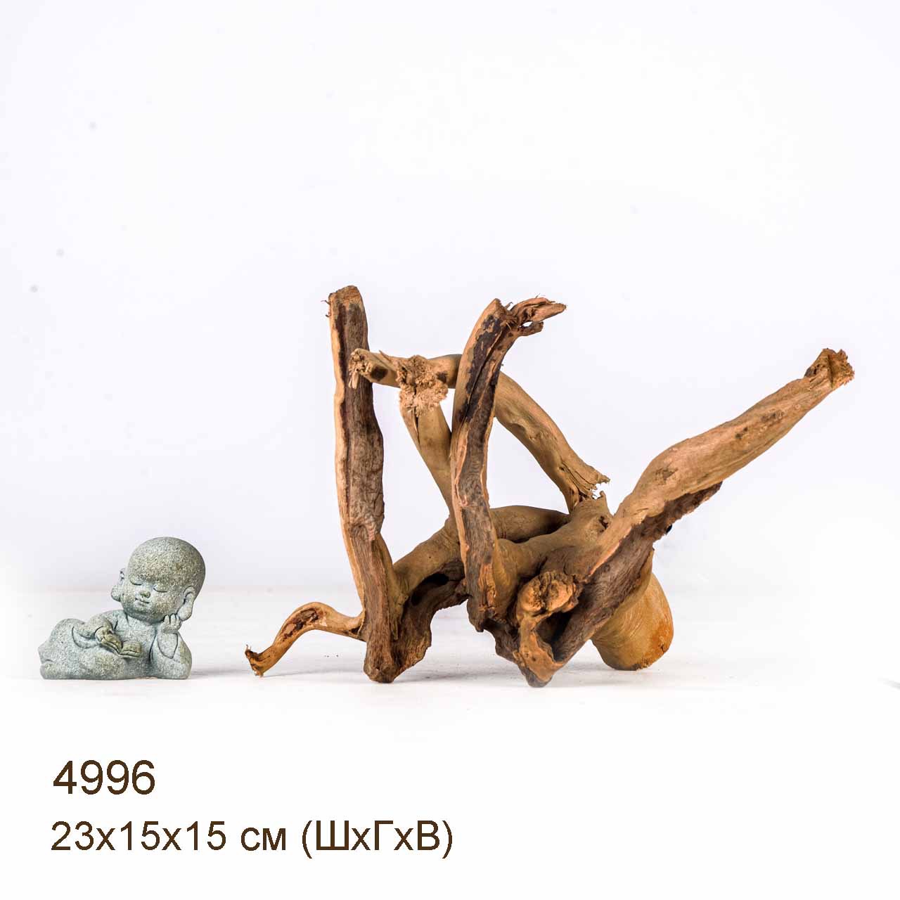 Коряга MASHA BLOOM Корень азалии S - 4996