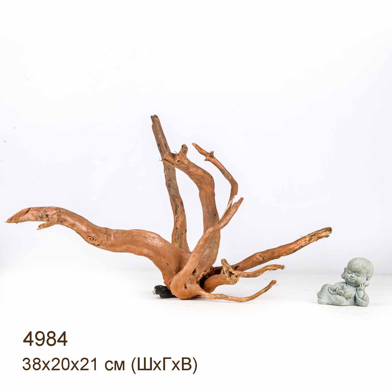 Коряга MASHA BLOOM Корень азалии S - 4984