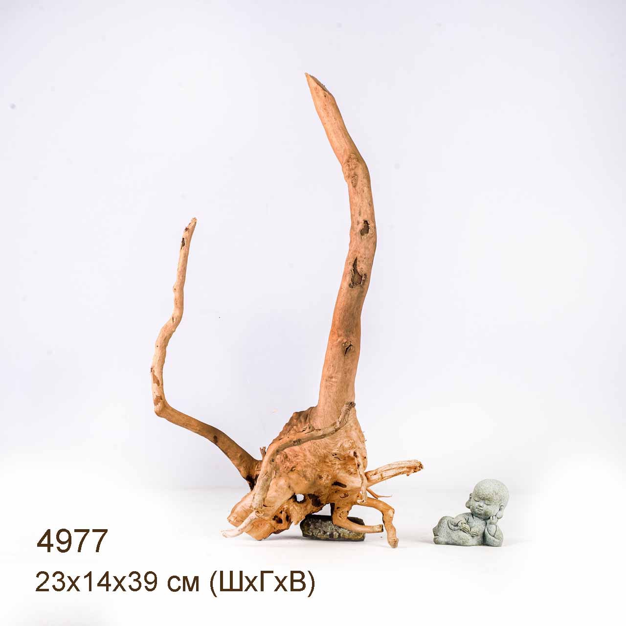 Коряга MASHA BLOOM Корень азалии S - 4977