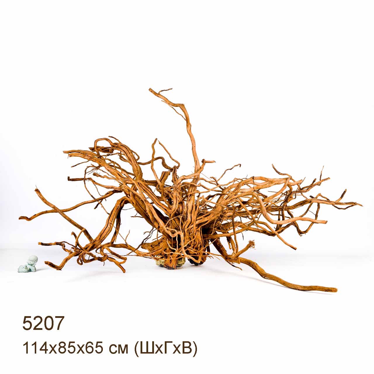 Коряга MASHA BLOOM Чечил 5207