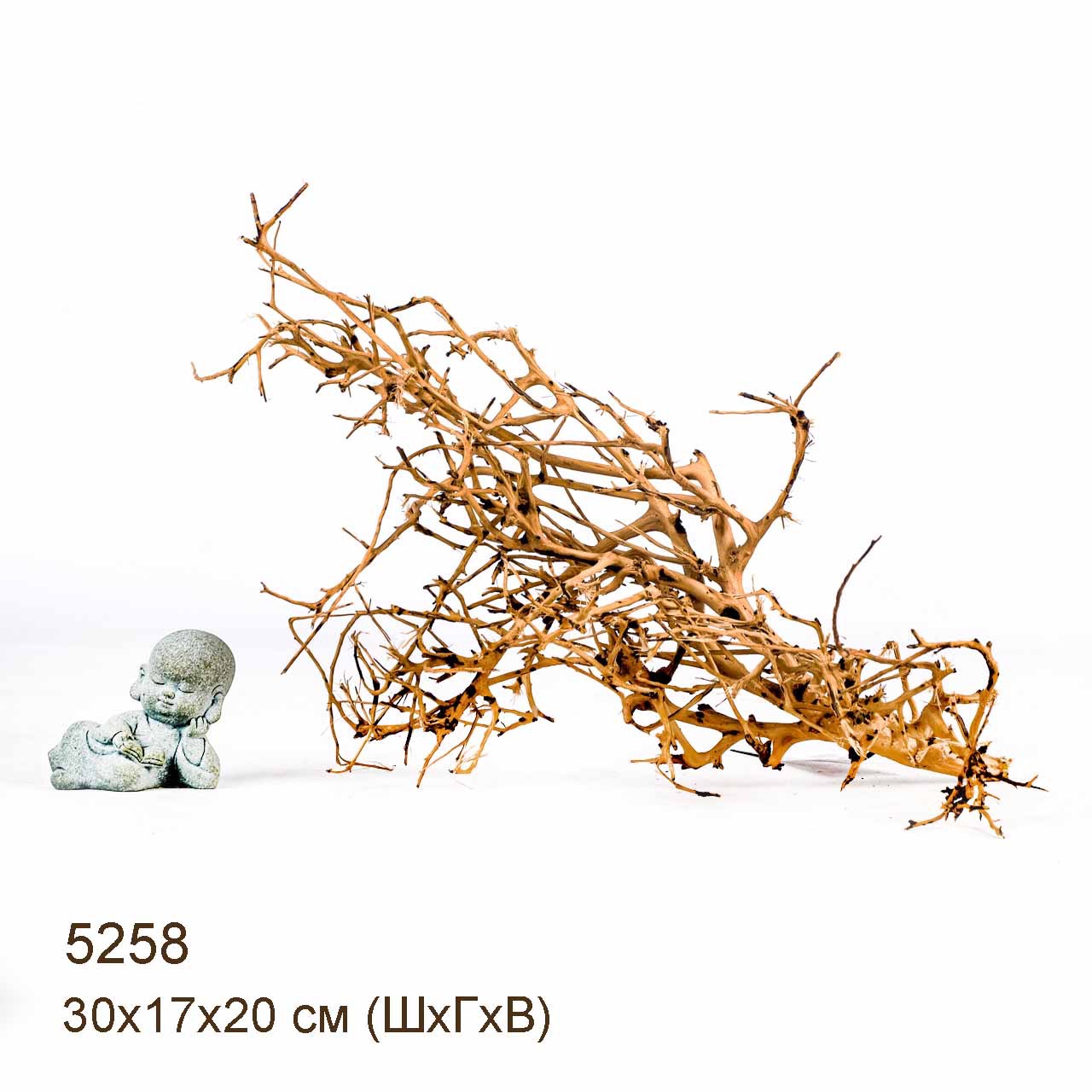 Коряга MASHA BLOOM Пустынная 5258