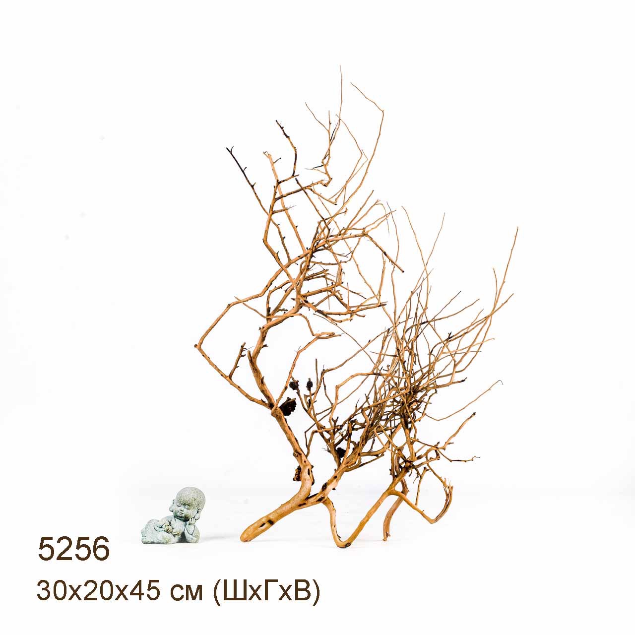 Коряга MASHA BLOOM Пустынная 5256