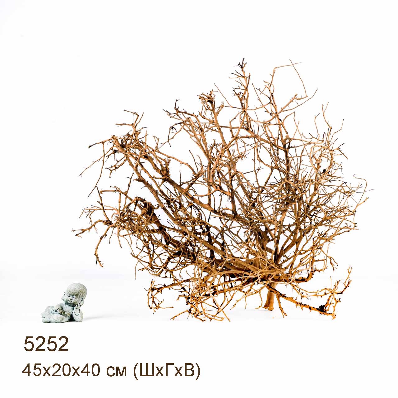 Коряга MASHA BLOOM Пустынная 5252